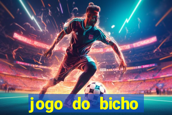 jogo do bicho crash bingo